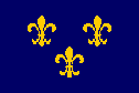 blue fleur-de-lis flag