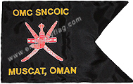 SNCOIC guidon