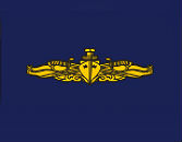 Naval Surface Warfare flag