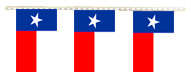 Texas pennant string