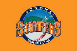 Stompers Baseball flag in orange