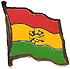 Bolivia flag lapel pin