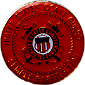 Coast Guard flag lapel pin