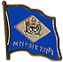 Delaware flag lapel pin