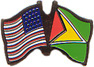 Guyana / USA friendship flag lapel pin