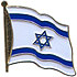 Israel flag lapel pin