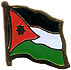 Jordan flag lapel pin