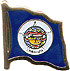 Minnesota flag lapel pin