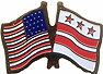 Washington DC friendship flag lapel pin